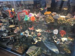 -新时模型(新街口店)