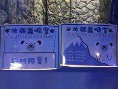 -上海海昌海洋公园-停车场