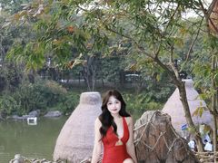 -美的鹭湖森林度假区