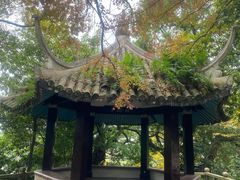 -江心屿景区