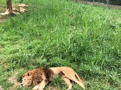 -野生动物园-停车场