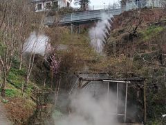 -玫瑰庄园·自助烧烤·烤全羊·团建拓展(龙泉山店)