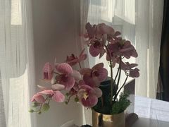 -楚禾宴·家宴(光谷大道店)