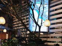 -桂满陇·海市蜃楼·黑金(国金店)