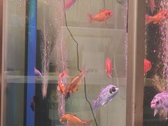 -老杨头烧烤(博烤堂店)
