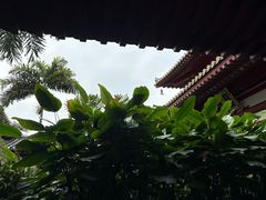 -新加坡佛牙寺龙华院