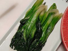 -假装苏杭·迎春花与梅(陆家嘴中心店)