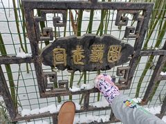 -宣武艺园