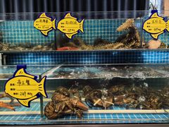 -韩记海鲜饺子旗舰店(红海新区店)