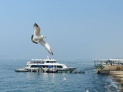 -星海广场