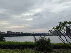 -立新湖公园