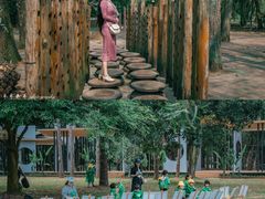 -南宁良凤江国家森林公园