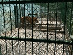 -江天生态园餐厅