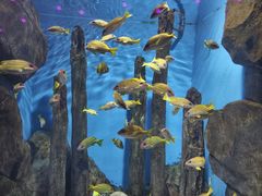-福州罗源湾海洋世界旅游区