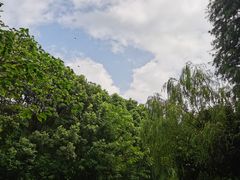 -同里国家湿地公园