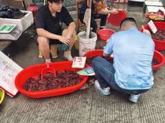 -东河市场