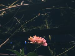 -良仓新造ICC PARK创意园