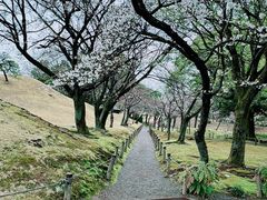 -水前寺成趣园