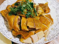 姜汁白切鸡-洪霞餐馆