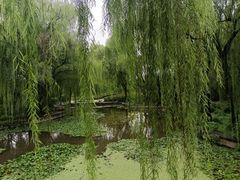-洛阳市隋唐城遗址植物园