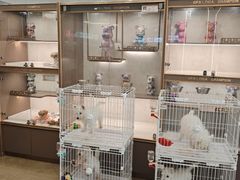 -翊宠yipet猫狗购宠庄园犬舍•猫舍