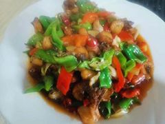 -煲来饱去冷水鱼