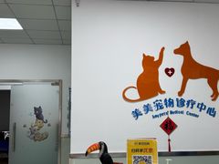 -美美宠物诊疗中心·异宠·骨科(滨江东信分院)