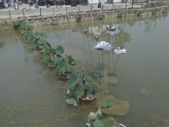 android_upload_pic-茯茶镇