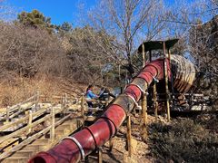 -北京西山国家森林公园