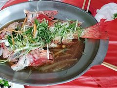 清蒸红石斑鱼-阿兴生鱼片(大光路店)