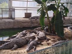 -石家庄市动物园