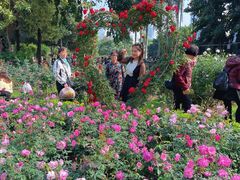 -人民公园(罗湖区)