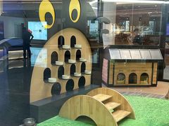 -爪爪喵星球·猫舍(卓悦中心店)