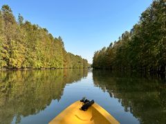 -上海海湾国家森林公园