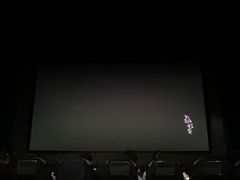 -天幕新彩云国际影城(激光巨幕店)