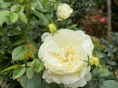 -人民公园(罗湖区)