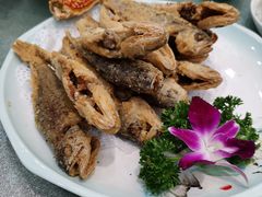 -渔码头食府(蓬莱阁店)