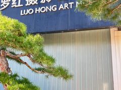 -罗红摄影艺术馆