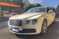-蚂蚁婚车