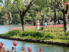 -上海鲜花港