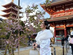 -浅草寺