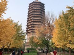 -玲珑塔公园