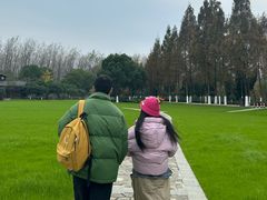 -合肥滨湖国家森林公园