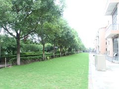 草坪-恒生商业广场(上丰店)