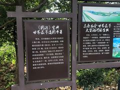 -扬州天乐湖嬉乐谷