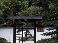 -新洲生态园