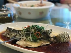 清蒸桂花鱼-华师大厦酒店·华粤轩中餐厅