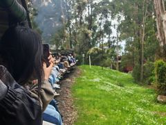 -普芬比利蒸汽火车
