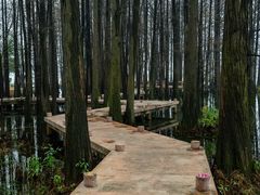 -东湖落雁景区
