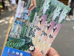 -西双版纳原始森林公园